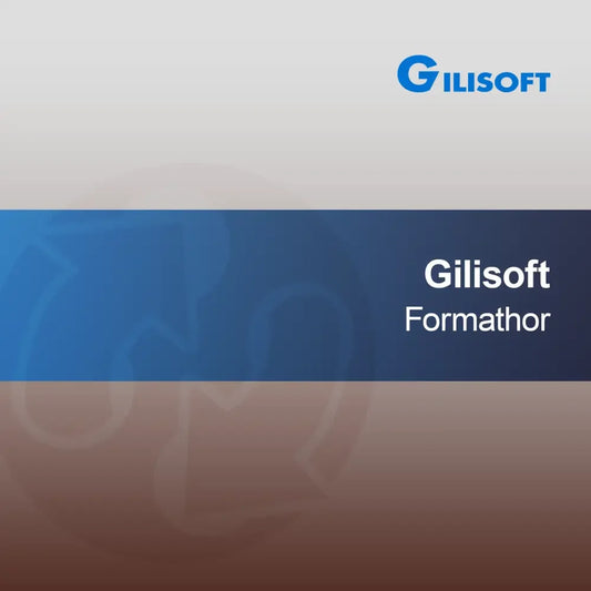 Gilisoft Formathor