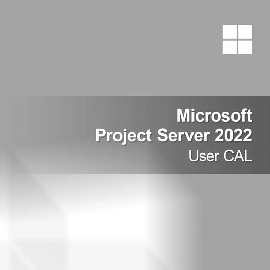 Microsoft Project Server 2022 User CAL